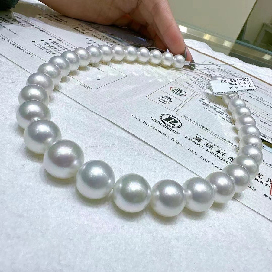 Venus | 12-14.2mm South Sea pearl Necklace