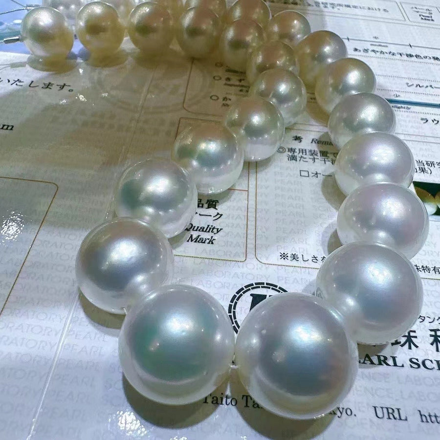 Phoenix | 15-18.3mm South Sea pearl Necklace