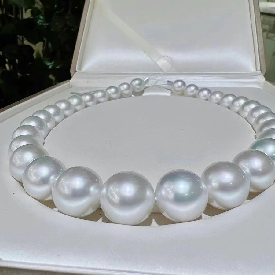 Phoenix | 12.1-15.8mm South Sea pearl Necklace