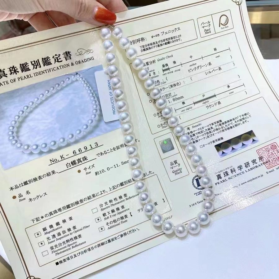 Phoenix | 10.0-11.5MM South Sea pearl Necklace