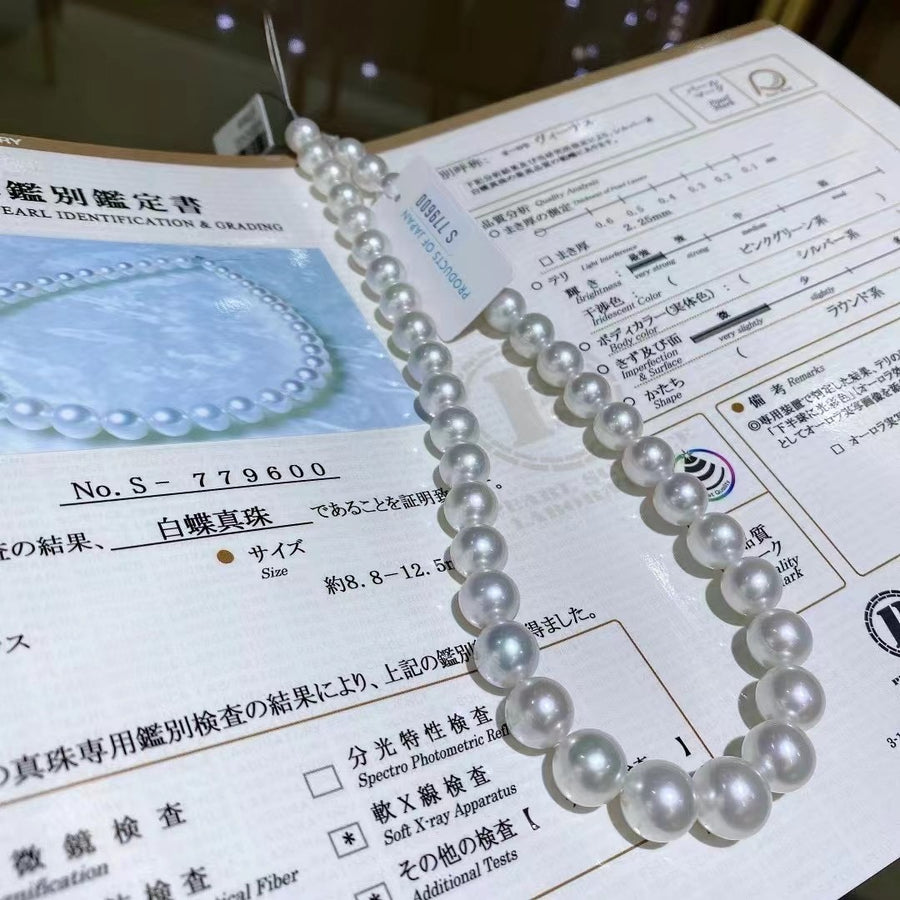 Venus | 8.8-12.5mm South Sea pearl Necklace