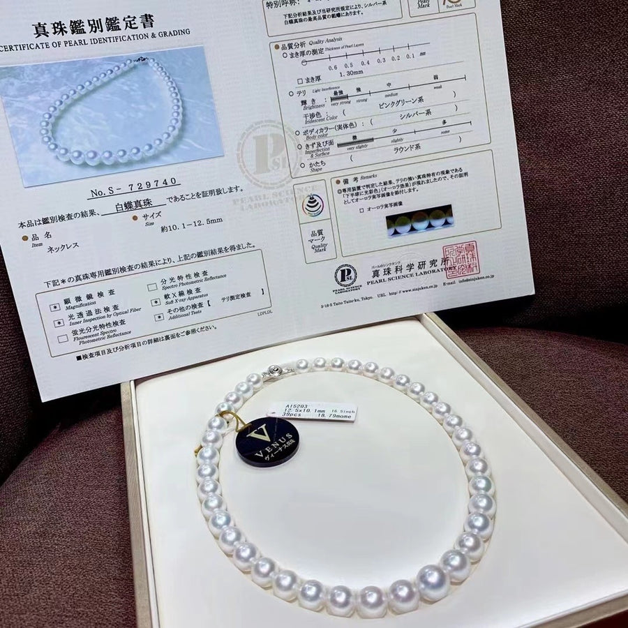 Venus | South Sea pearl Necklace & Ear Studs Set