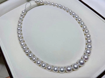 Phoenix | 9.1-11.9mm South Sea pearl Necklace