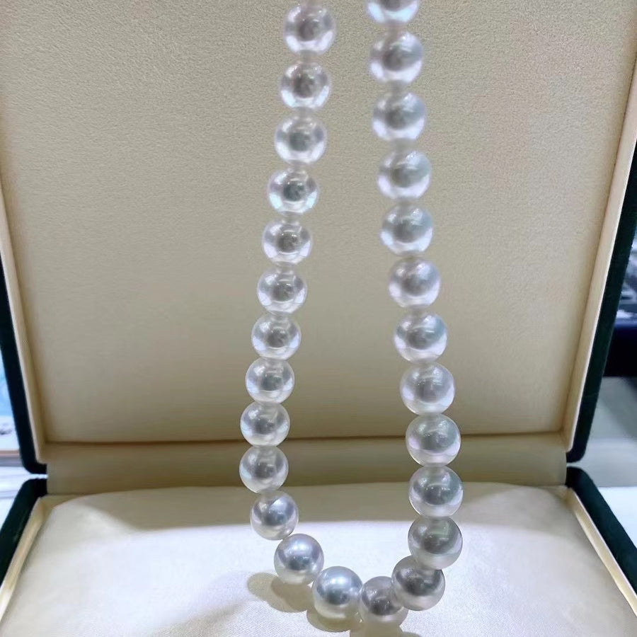 Venus | 10-12.3mm South Sea pearl Necklace