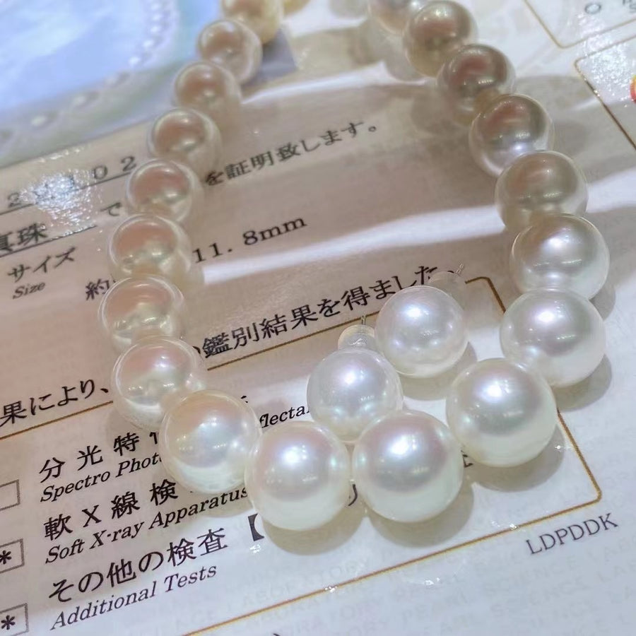 Venus | South Sea pearl Necklace & Studs Set