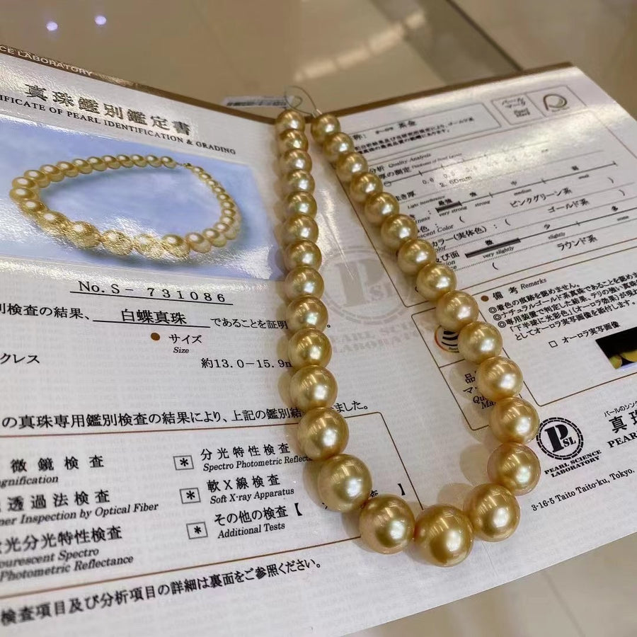 Chakin | 13-15.9mm Golden south sea pearl Necklace
