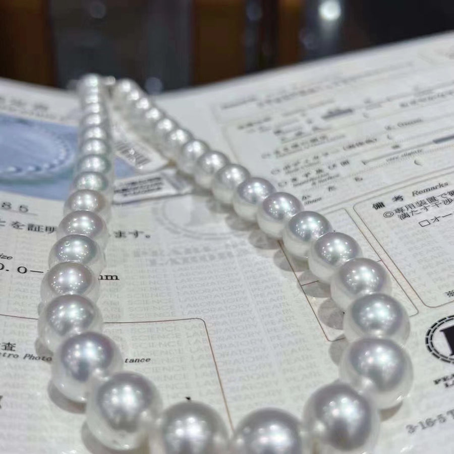 Phoenix | 10.0-13.0mm South Sea pearl Necklace
