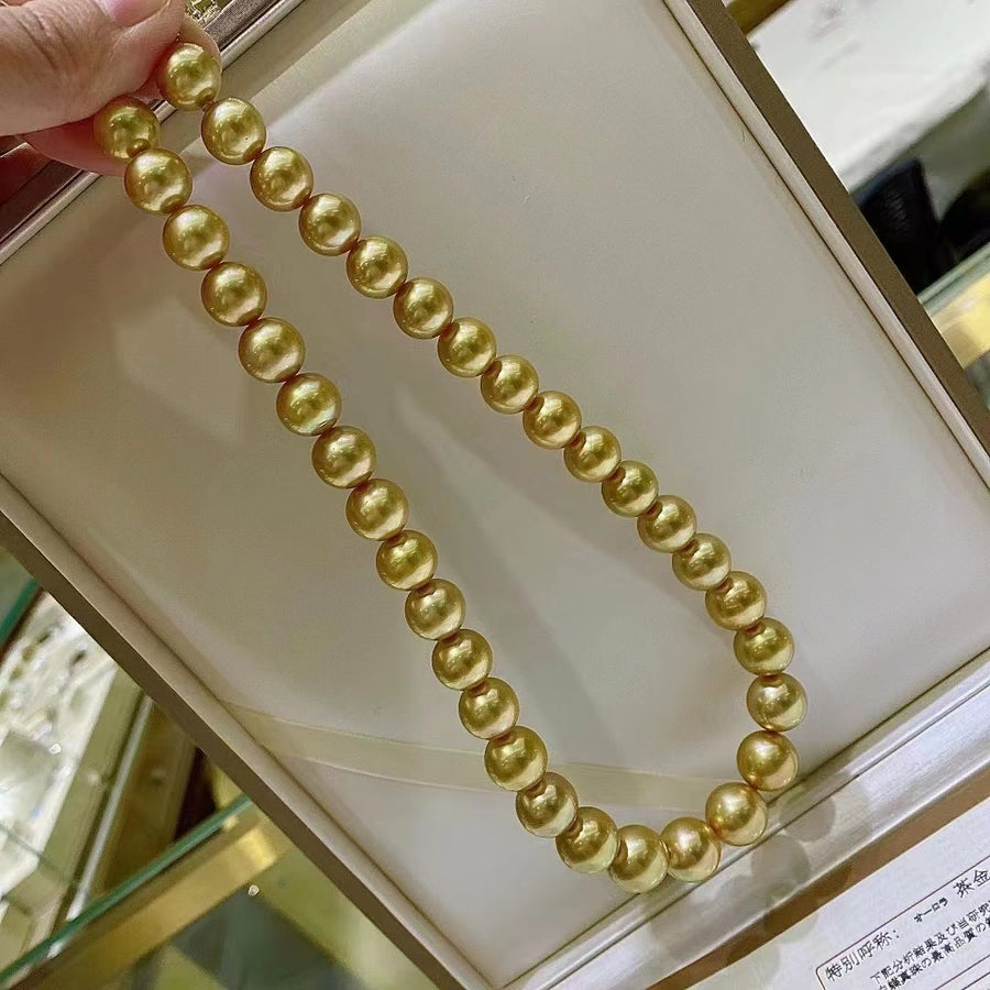 Chakin | 11-13.9mm Intense Golden south sea pearl Necklace