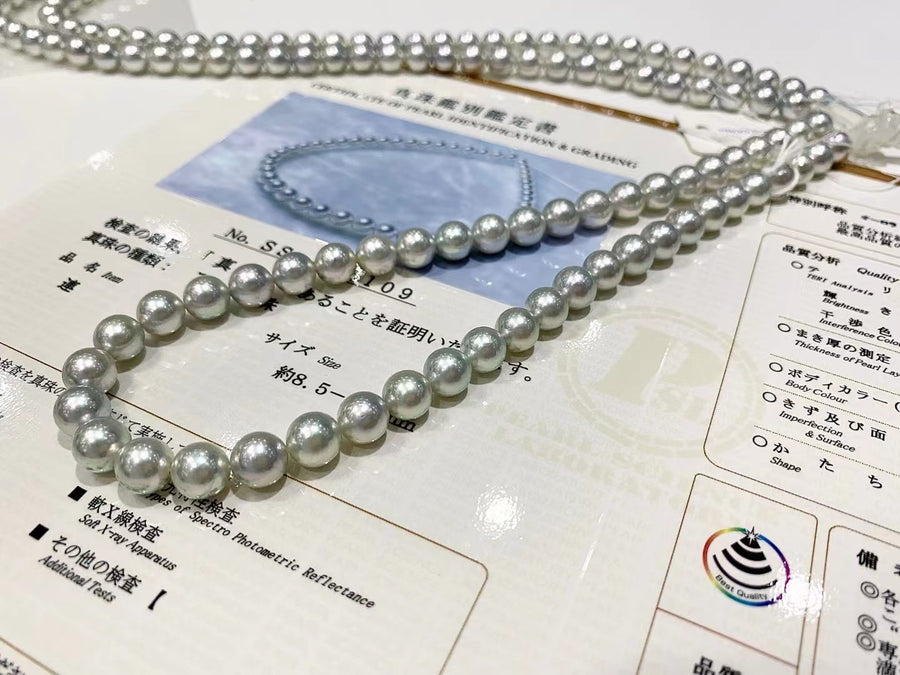 MADAMA | 8.5-9mm Akoya pearl Necklace