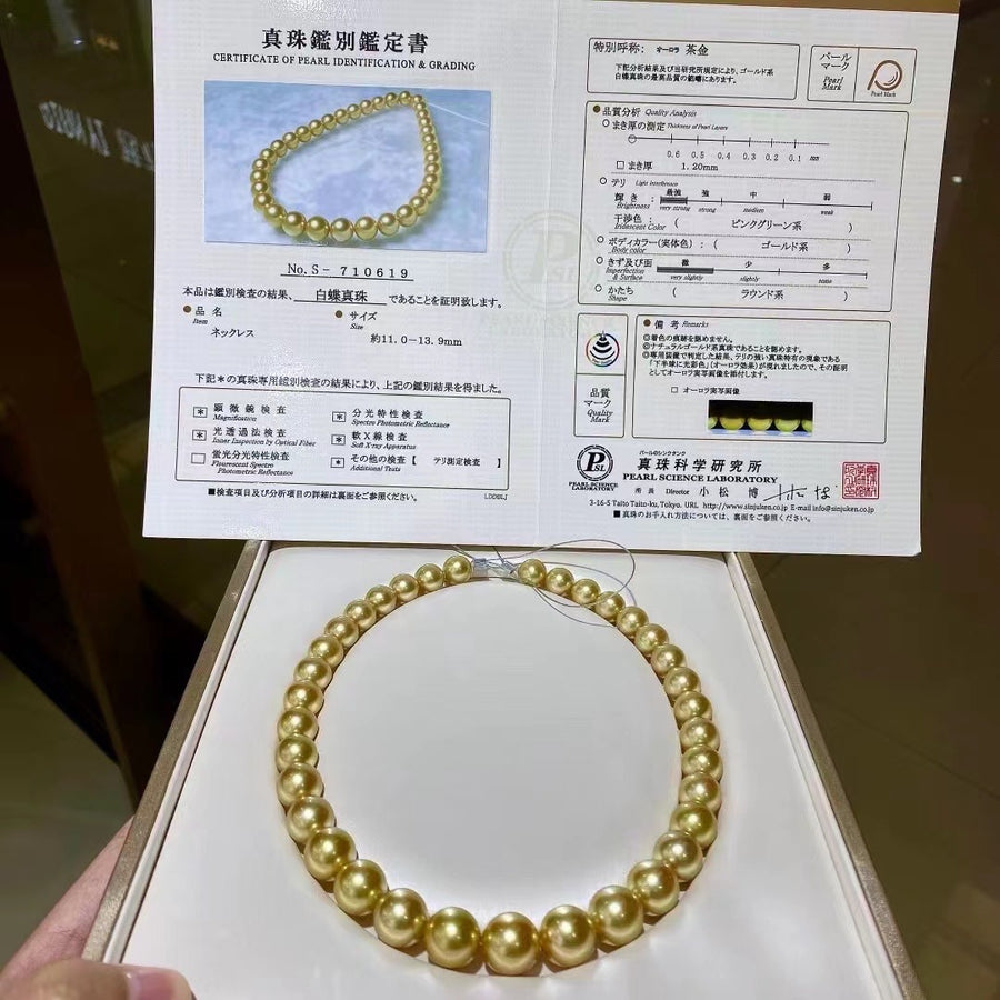 Chakin | 11-13.9mm Intense Golden south sea pearl Necklace