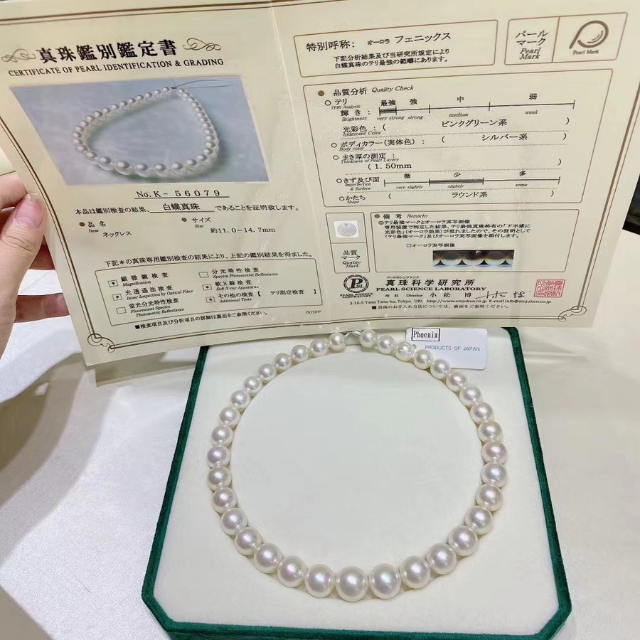 Phoenix | 11-14.7mm South Sea pearl Necklace