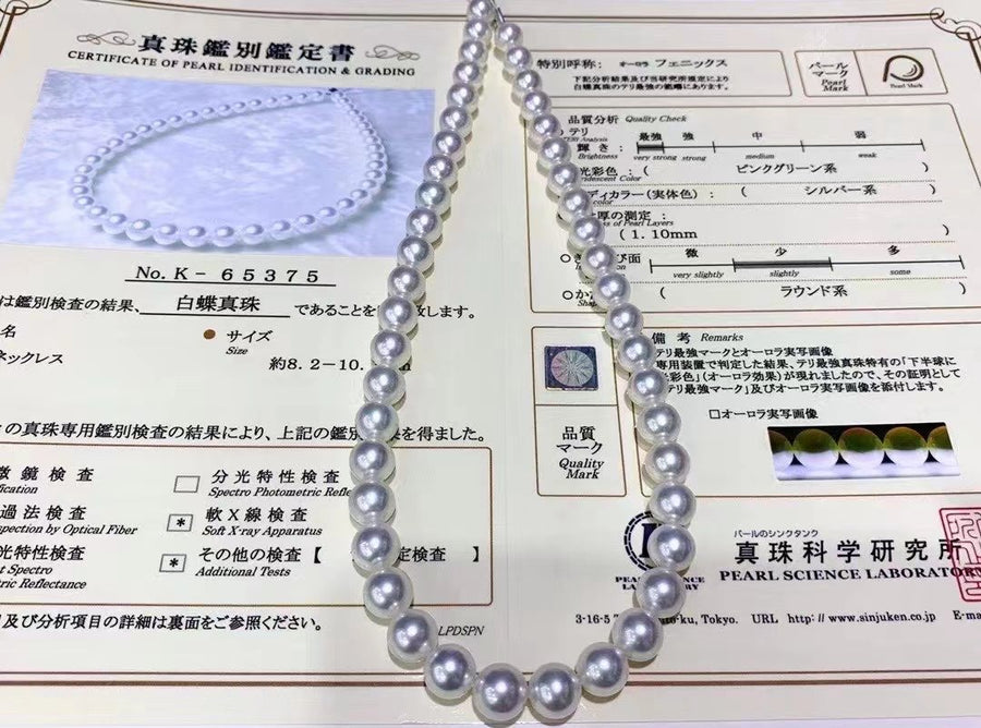 Phoenix | 8.2-10.1mm South Sea pearl Necklace