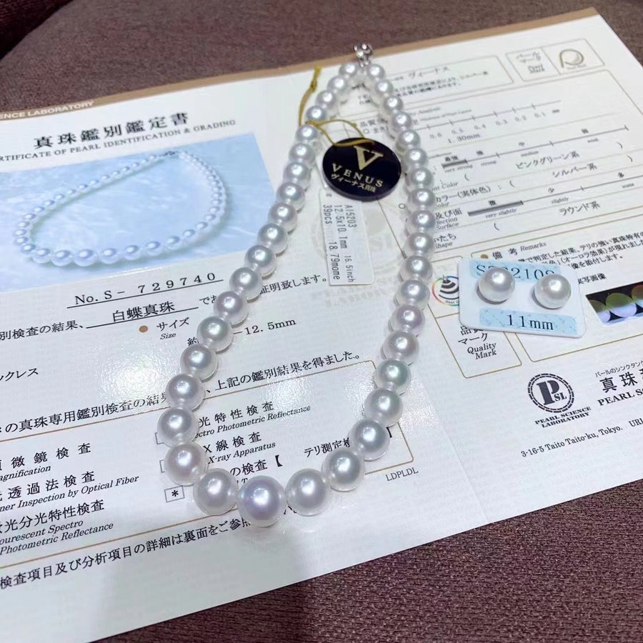 Venus | South Sea pearl Necklace & Ear Studs Set
