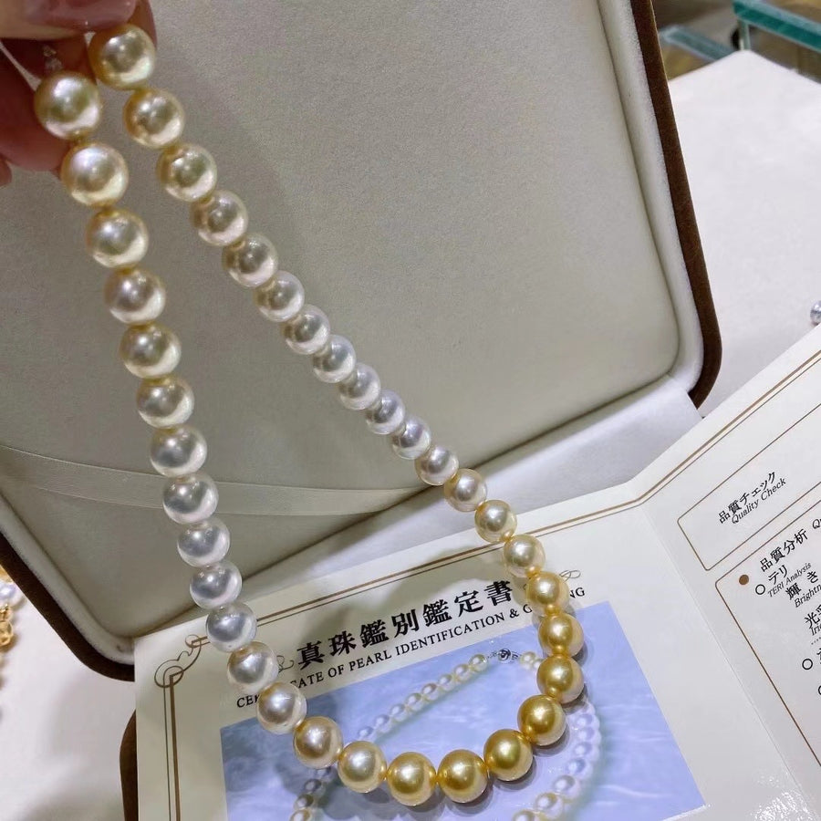 Four Season Colors | 11-11.3mm South Sea pearl Necklace