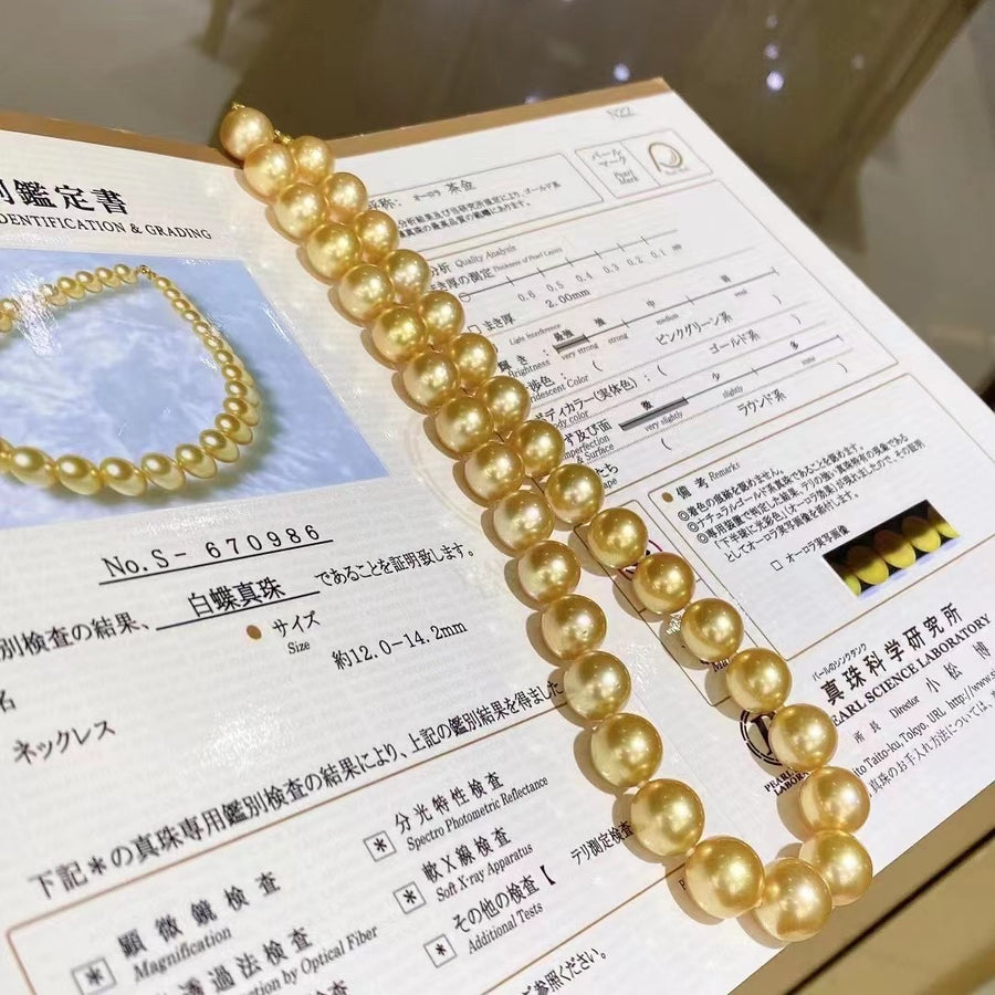 Chakin | 12-14.2mm Golden south sea pearl Necklace