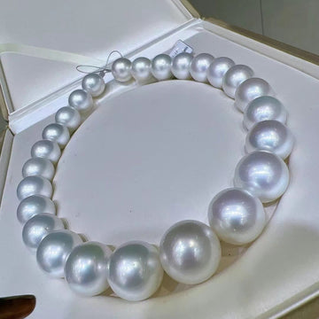 Phoenix | 17-19.8mm South Sea pearl Necklace