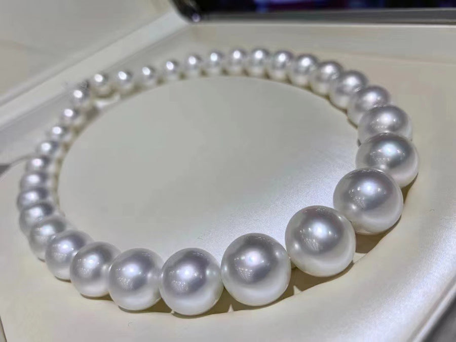 Venus | 13-15.6MM South Sea pearl Necklace