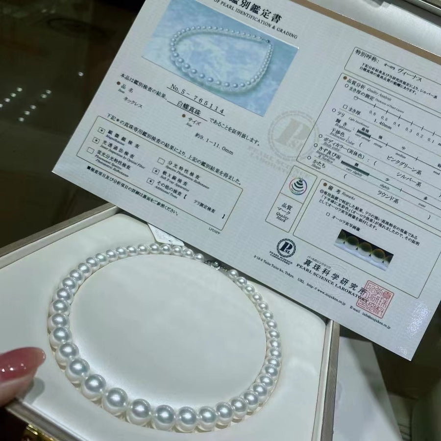 Venus | 9.1-11mm South Sea pearl Necklace